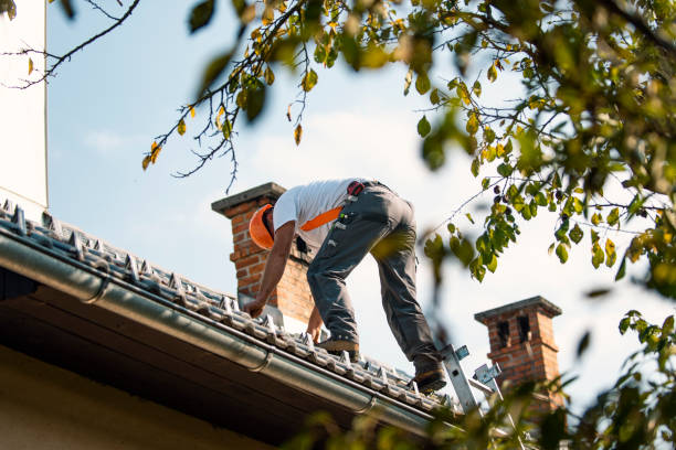 Best Roof Restoration Services  in Rapids, NY