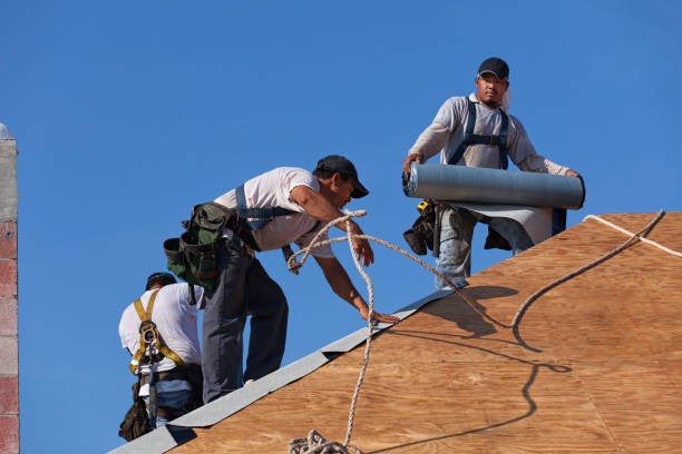 Best Roof Maintenance Services  in Rapids, NY